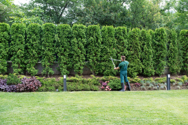 Best Arborist Services Near Me  in Russell, PA